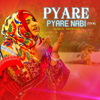 Pyare Pyare Nabi (S.A.W)