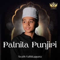 PALNILA PUNJIRI