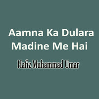 Aamna Ka Dulara Madine Me Hai