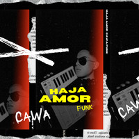 Haja Amor (Funk Remix)