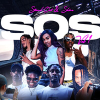 Stand out & Shine S.O.S, Vol 1