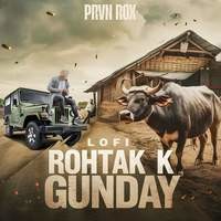 Rohtak k Gunday (Lofi)