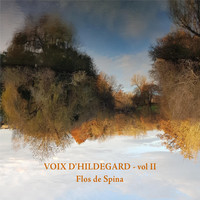 Voix D'hildegard, Vol. II