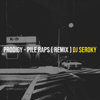 Pile Raps ( DJ Seroky Remix )