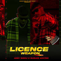 Licence Weapon