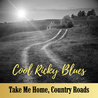 Take Me Home, Country Roads (Country Soul Cover)