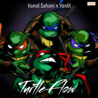 Turtle Flow