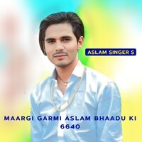 Maargi Garmi Aslam Bhaadu Ki 6640