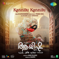Kannilu Kannilu (From "Ayisha")