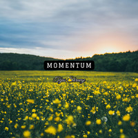 Momentum