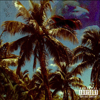 PalmTreesDeadDreams