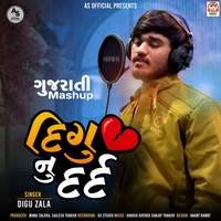 Digu Nu Dard (Gujarati Mashup)