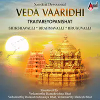 Traitareyopanishat-Veda Vaaridhi