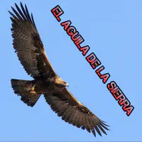 El Aguila De La Sierra Songs Download: El Aguila De La Sierra MP3 Spanish  Songs Online Free on 