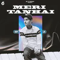 Meri Tanhaai