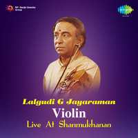 Lalgudi Jayaraman Violin Live At Shanmukhananda