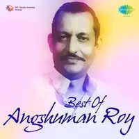 Best Of Angshuman Roy 