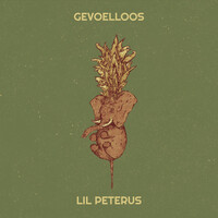 Gevoelloos