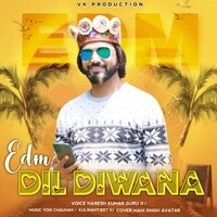 EDM Dil Diwana