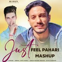 Just Feel Pahari Mashup