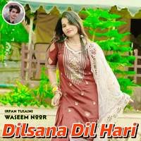 Dilsana Dil Hari