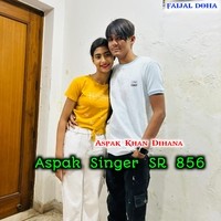 Aspak Singer SR 856