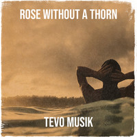 Rose Without a Thorn