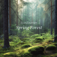 Scandinavian Spring Forest