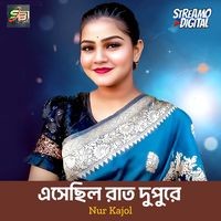 এসেছিল রাত দুপুরে