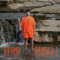 Segno Gemelli