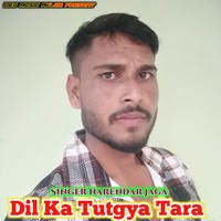 Dil Ka Tutgya Tara