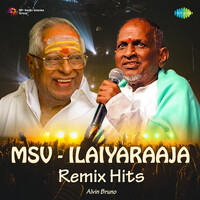 MSV - Ilaiyaraaja Remix Hits