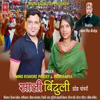Saali Binduli Jhoda Chanchari ( Feat. Nand Kishore Pandey, Mamta Arya )