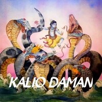 KALIO DAMAN