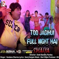 Tu jagi Hui Full Night Hai    VandanaSharma   New Hindi Song 2022 Top Hits