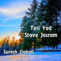 Teri Yad Stave Jasram