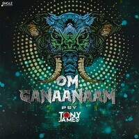 Om Ganaanaam - The Synth Of God
