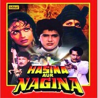 Hasina Aur Nagina (Original Motion Picture Soundtrack)