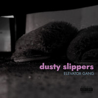 Dusty Slippers