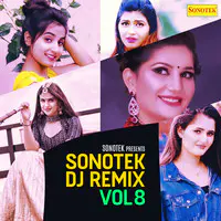 Sonotek DJ Remix Vol 8