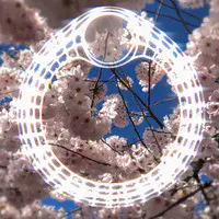 Cherry Blossom Ouroboros