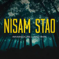 Nisam Stao