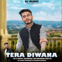 Tera Diwana