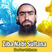 Ziba Nabi Sultana