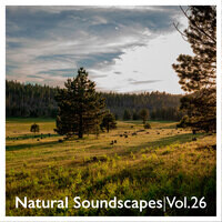 Natural Soundscapes, Vol. 26