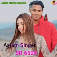 Aslam Singer SR 6500