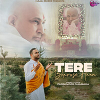 Tere Bharose Haan