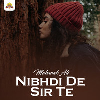 Nibhdi De Sir Te