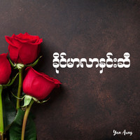 ခိုင်မာလာနှင်းဆီ