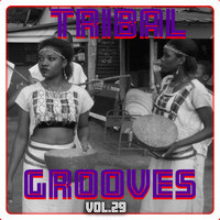 Tribal Grooves, Vol. 29